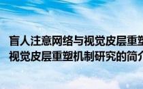 盲人注意网络与视觉皮层重塑机制研究(关于盲人注意网络与视觉皮层重塑机制研究的简介)