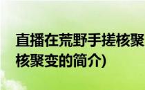 直播在荒野手搓核聚变(关于直播在荒野手搓核聚变的简介)