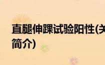 直腿伸踝试验阳性(关于直腿伸踝试验阳性的简介)