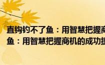 直钩钓不了鱼：用智慧把握商机的成功捷径(关于直钩钓不了鱼：用智慧把握商机的成功捷径的简介)
