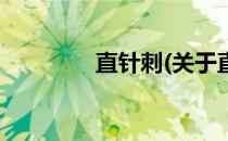 直针刺(关于直针刺的简介)