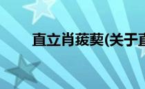 直立肖菝葜(关于直立肖菝葜的简介)