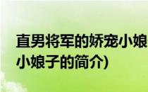 直男将军的娇宠小娘子(关于直男将军的娇宠小娘子的简介)