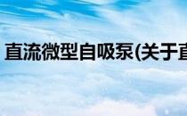 直流微型自吸泵(关于直流微型自吸泵的简介)
