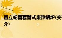 直立蛇管套管式废热锅炉(关于直立蛇管套管式废热锅炉的简介)