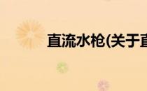 直流水枪(关于直流水枪的简介)