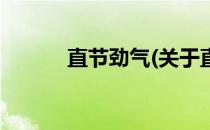 直节劲气(关于直节劲气的简介)
