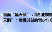 直面“黑天鹅”：危机时刻的青少年心理疏导(关于直面“黑天鹅”：危机时刻的青少年心理疏导的简介)