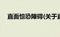 直面惊恐障碍(关于直面惊恐障碍的简介)