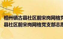 相州镇古县社区前宋岗网格党支部志愿服务队(关于相州镇古县社区前宋岗网格党支部志愿服务队的简介)