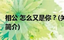 相公 怎么又是你？(关于相公 怎么又是你？的简介)