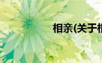 相亲(关于相亲的简介)