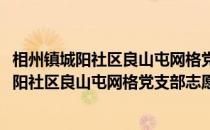 相州镇城阳社区良山屯网格党支部志愿服务队(关于相州镇城阳社区良山屯网格党支部志愿服务队的简介)