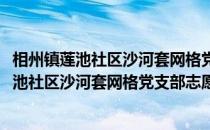 相州镇莲池社区沙河套网格党支部志愿服务队(关于相州镇莲池社区沙河套网格党支部志愿服务队的简介)
