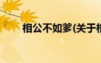 相公不如爹(关于相公不如爹的简介)