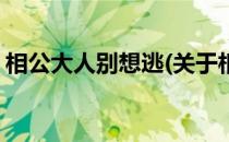 相公大人别想逃(关于相公大人别想逃的简介)