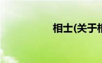 相士(关于相士的简介)