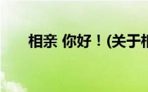 相亲 你好！(关于相亲 你好！的简介)