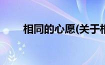 相同的心愿(关于相同的心愿的简介)