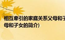 相互牵引的家庭关系父母和子女(关于相互牵引的家庭关系父母和子女的简介)