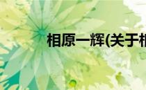 相原一辉(关于相原一辉的简介)