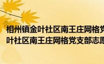 相州镇金叶社区南王庄网格党支部志愿服务队(关于相州镇金叶社区南王庄网格党支部志愿服务队的简介)