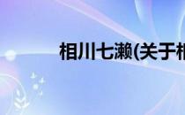 相川七濑(关于相川七濑的简介)