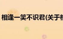 相逢一笑不识君(关于相逢一笑不识君的简介)