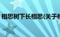 相思树下长相思(关于相思树下长相思的简介)