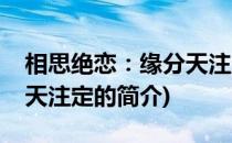 相思绝恋：缘分天注定(关于相思绝恋：缘分天注定的简介)