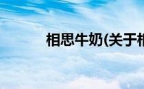 相思牛奶(关于相思牛奶的简介)