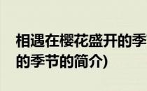 相遇在樱花盛开的季节(关于相遇在樱花盛开的季节的简介)