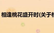 相逢桃花盛开时(关于相逢桃花盛开时的简介)