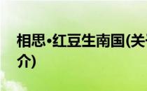 相思·红豆生南国(关于相思·红豆生南国的简介)