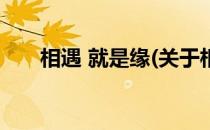 相遇 就是缘(关于相遇 就是缘的简介)