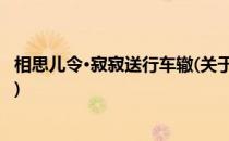 相思儿令·寂寂送行车辙(关于相思儿令·寂寂送行车辙的简介)