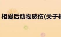 相爱后动物感伤(关于相爱后动物感伤的简介)
