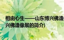 相由心生——山东博兴佛造像展(关于相由心生——山东博兴佛造像展的简介)