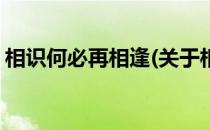 相识何必再相逢(关于相识何必再相逢的简介)