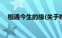 相遇今生的缘(关于相遇今生的缘的简介)