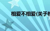 相爱不相爱(关于相爱不相爱的简介)