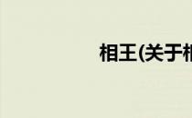 相王(关于相王的简介)