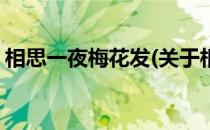 相思一夜梅花发(关于相思一夜梅花发的简介)