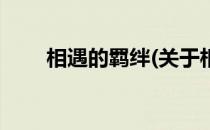 相遇的羁绊(关于相遇的羁绊的简介)