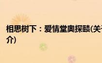 相思树下：爱情堂奥探赜(关于相思树下：爱情堂奥探赜的简介)