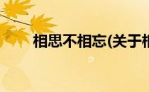 相思不相忘(关于相思不相忘的简介)
