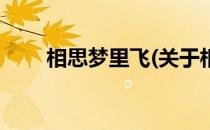 相思梦里飞(关于相思梦里飞的简介)