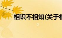 相识不相知(关于相识不相知的简介)