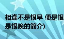 相逢不是恨早 便是恨晚(关于相逢不是恨早 便是恨晚的简介)