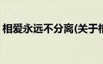相爱永远不分离(关于相爱永远不分离的简介)